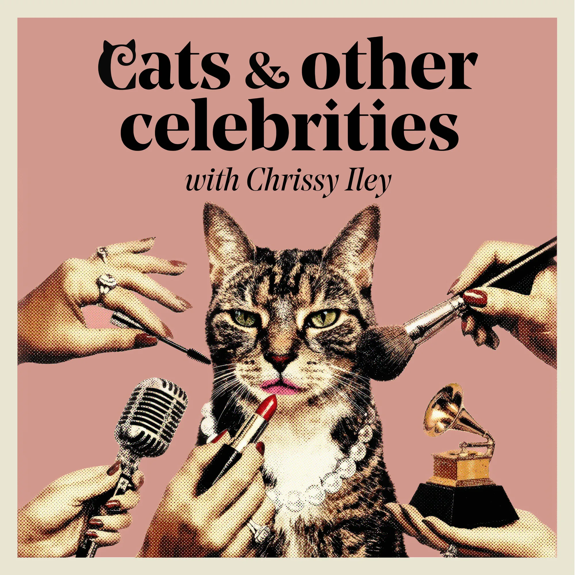 Cats and Other Celebrities cover art