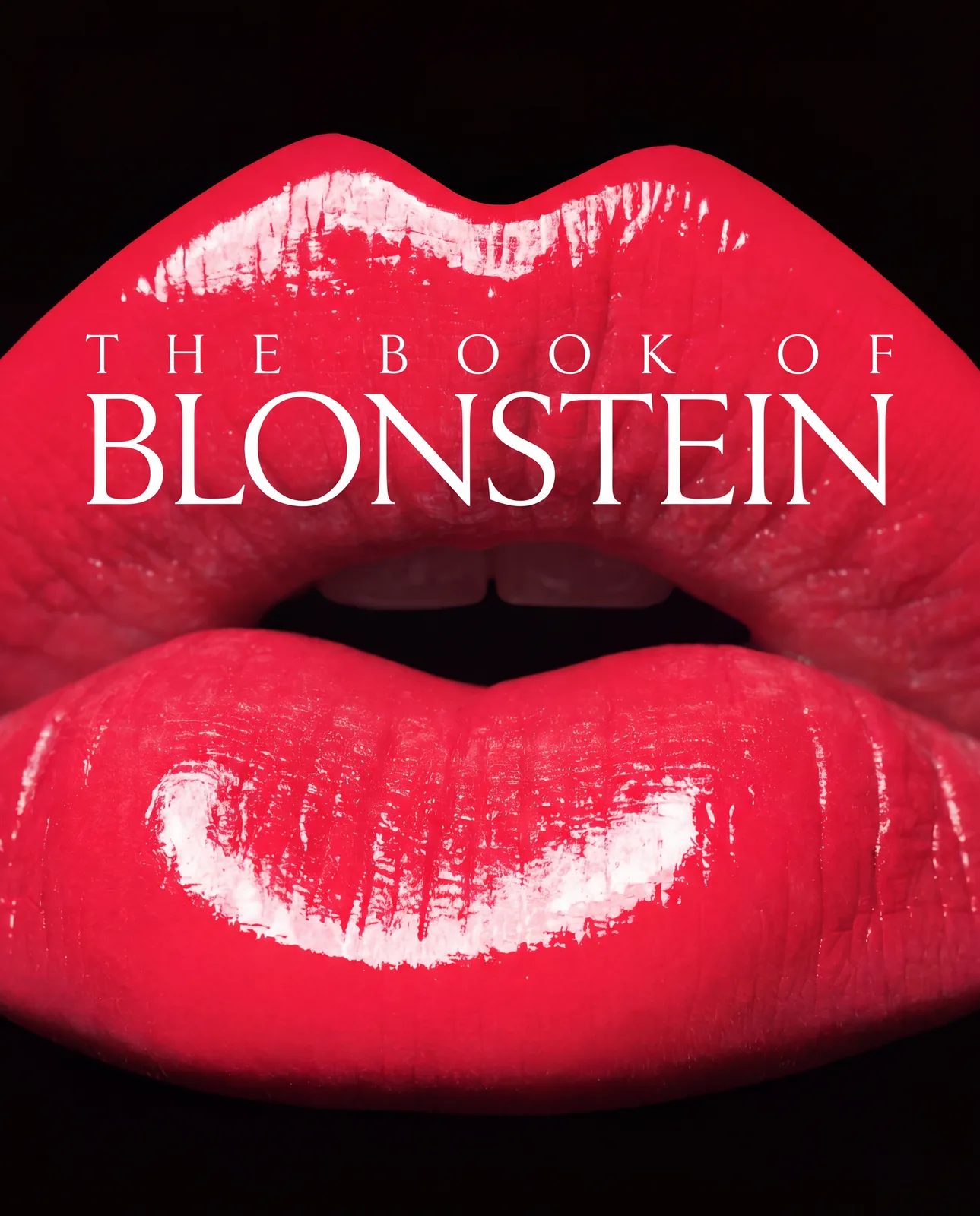 The Book of Blonstein cover, large title