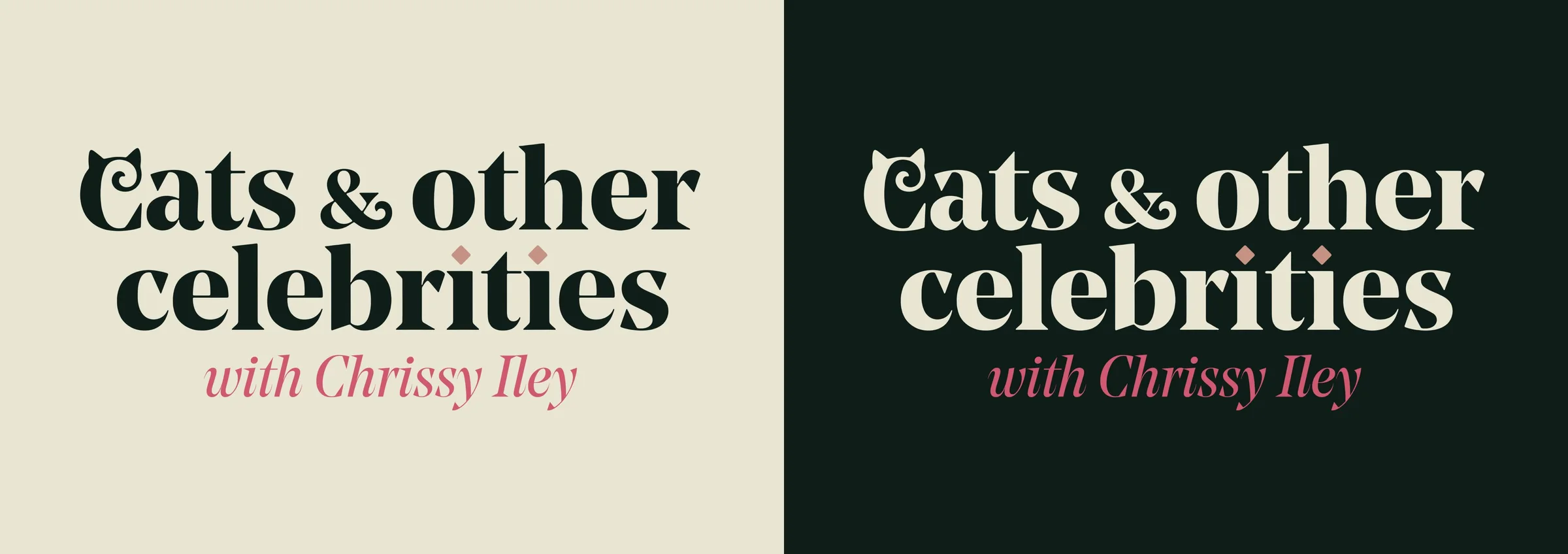 The wordmark, light and dark